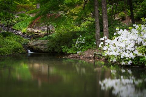 Garvan Gardens
